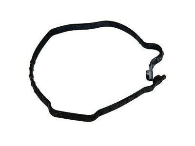 Ford BR3Z-6020-D Gasket