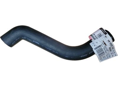 Ford Excursion Radiator Hose - F81Z-8260-BA