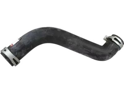 Ford Excursion Radiator Hose - F81Z-8260-BA