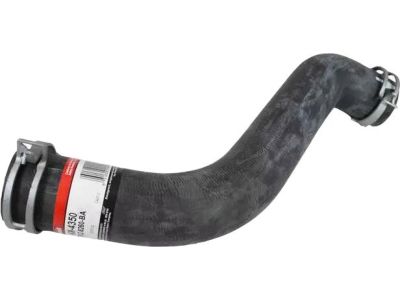 Ford Excursion Radiator Hose - F81Z-8260-BA