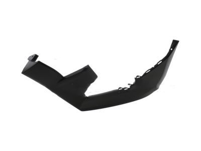 Ford FL3Z-17C755-AA Moulding - Bumper Protection