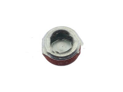 Ford -W528114-S446 Plug