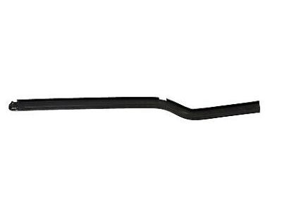 Ford 2T1Z-5821453-A Weatherstrip - Door Belt