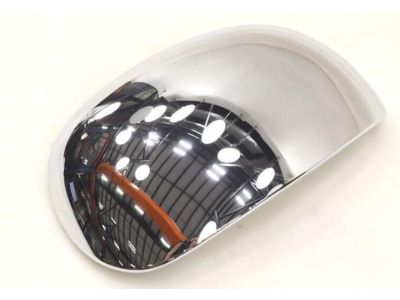 1998 Ford F-250 Mirror Cover - F7TZ-17D743-AB