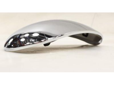 1998 Ford F-250 Mirror Cover - F7TZ-17D743-AB