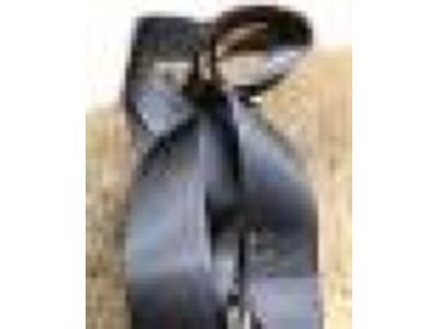 Ford 1L3Z-15612B19-AAC