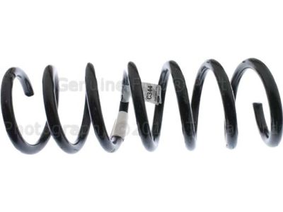 Ford C-Max Coil Springs - DV6Z-5560-A