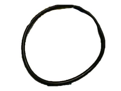 1995 Ford Ranger Fuel Pump Tank Seal - E69Z-9417-A