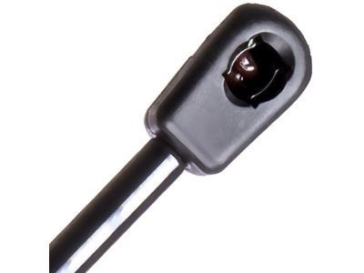 Ford 6F9Z-74406A10-B Lift Assembly - Gas