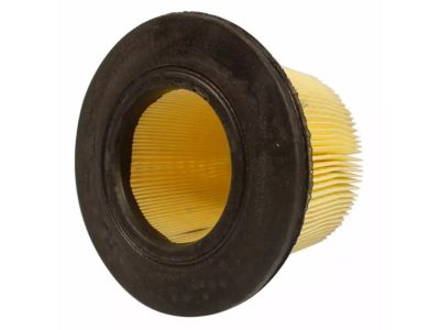 Lincoln Air Filter - F5OY-9601-A