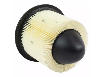 Lincoln Air Filter - F5OY-9601-A