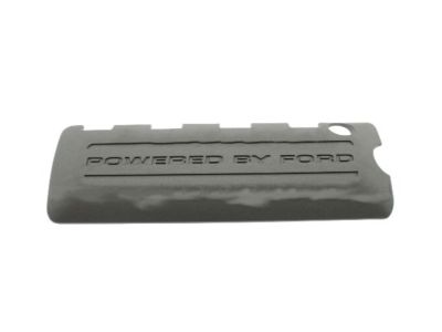 Ford BR3Z-6P067-AA Cover