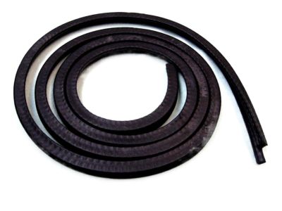Mercury Zephyr Weather Strip - D9ZZ-66502C50-A