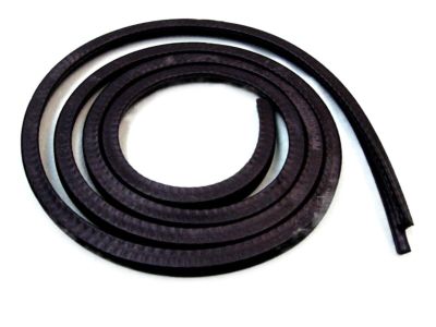 Mercury Marquis Weather Strip - D9ZZ-66502C50-A