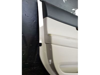 Ford BB5Z-7823943-CA Panel Assembly - Door Trim
