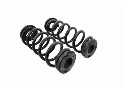 2024 Ford Escape Coil Springs - LX6Z-5560-FJ