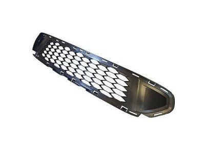 Ford AE5Z-8200-DB Grille - Radiator