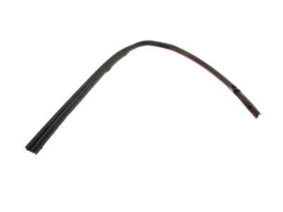 Ford 5L5Z-1051222-A Weatherstrip - A P