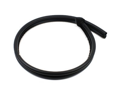 Ford F2UZ-1541654-A Moulding