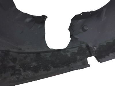 Ford AE8Z-16103-C Guard