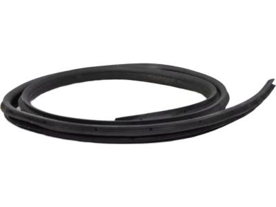 2013 Ford C-Max Door Seal - AM5Z-5825324-D