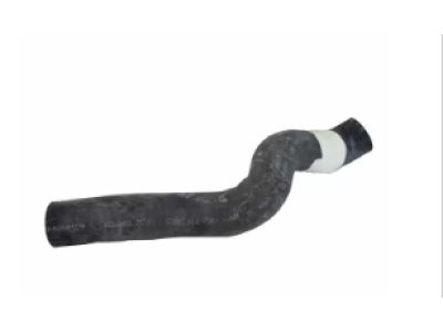 2005 Ford Mustang Cooling Hose - 4R3Z-8260-BA