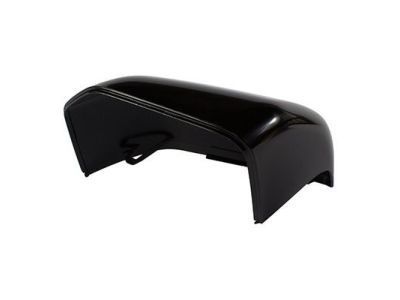 Ford F-150 Mirror Cover - FL3Z-17D743-CAPTM