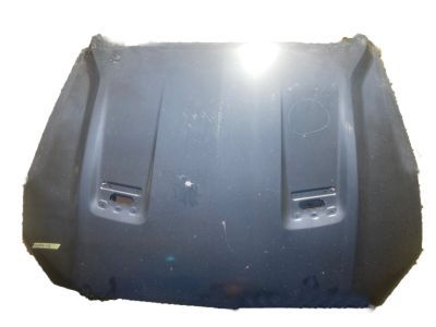 Ford JR3Z-16612-A Hood Assembly