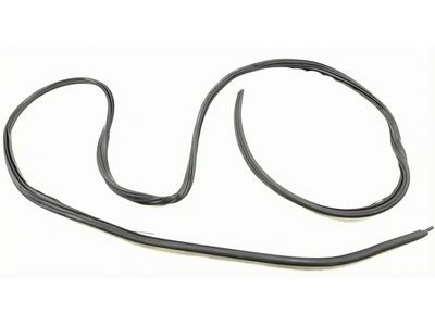 2016 Ford Transit Weather Strip - EK4Z-61253A10-E