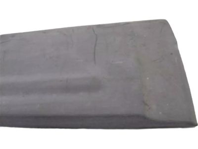 2004 Ford Expedition Door Moldings - 4L1Z-7825557-AAA