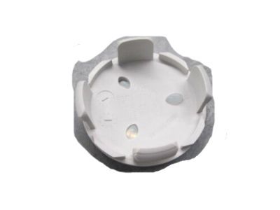 Ford FR3Z-1003-A Insert