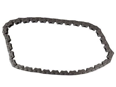 Ford F77Z-6268-BC Chain Assembly