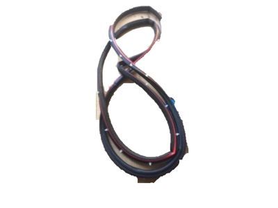 Ford Focus Weather Strip - CV6Z-5820709-A