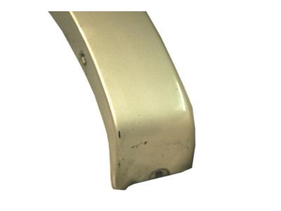 Ford 6L2Z-16039-CAPTM Moulding