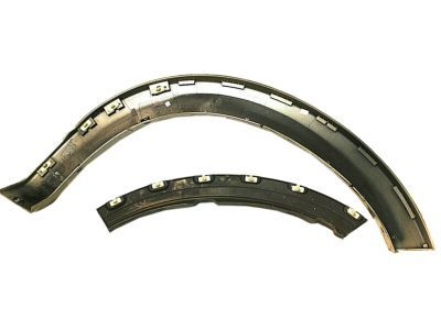 Ford 6L2Z-16039-CAPTM Moulding