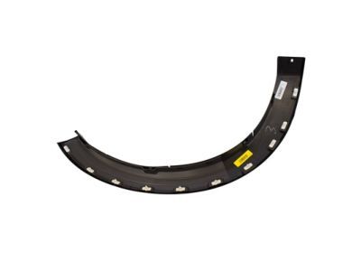 Ford 6L2Z-16039-CAPTM Moulding