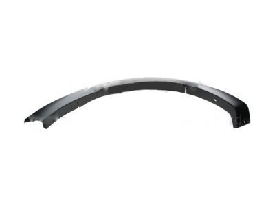 Ford 6L2Z-16039-CAPTM Moulding