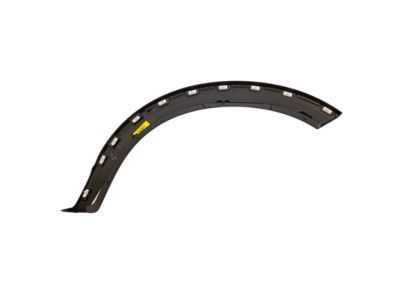 Ford 6L2Z-16039-CAPTM Moulding