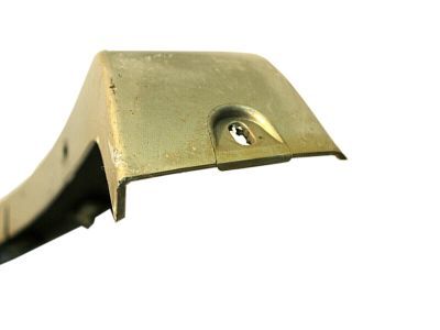 Ford 6L2Z-16039-CAPTM Moulding