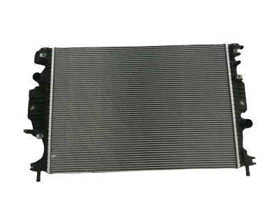 Ford DG9Z-8005-B Radiator Assembly