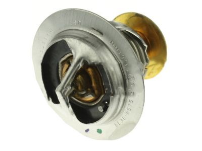 Ford Transit Thermostat - BL3Z-8575-A