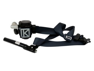 Lincoln GD9Z-54611B09-CF