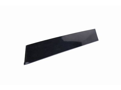 2022 Lincoln Navigator Door Moldings - JL7Z-78255A35-AC