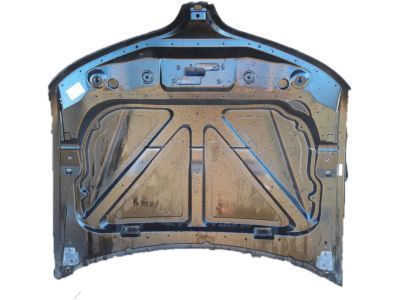 Ford DA5Z-16612-A Hood Assembly