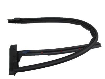 Ford F-150 Weather Strip - 4L3Z-18253A36-AF