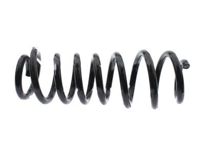 Ford DR3Z-5560-C Spring - Rear