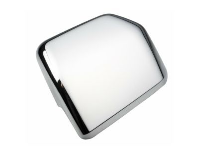 Ford F-150 Mirror Cover - FL3Z-17D743-BA