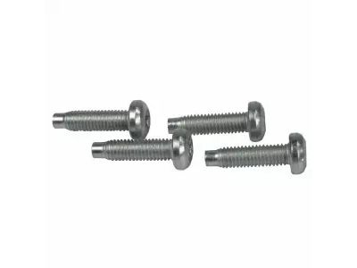 -W505575-S309 Ford Screw Product Photo 1 of 1