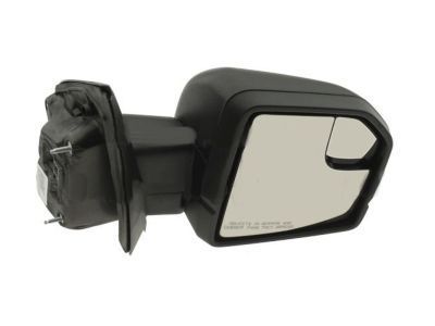 Ford JL3Z-17682-MBPTM