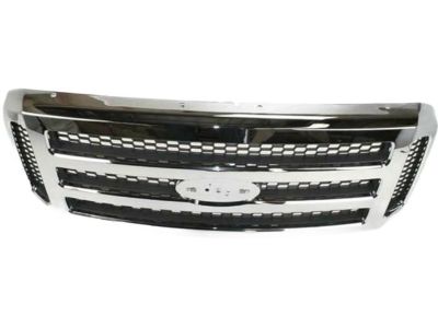 2005 Ford F-250 Super Duty Grille - 6C3Z-8200-BC